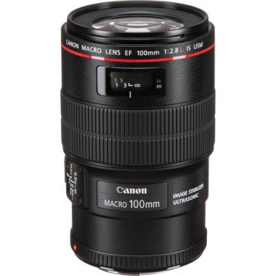 Canon EF 100mm f2.8L Macro IS USM