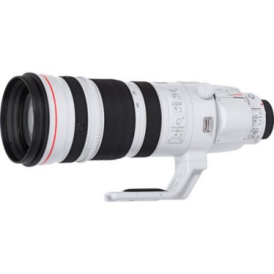 Canon EF 200-400mm F4L IS USM Extender 1.4x