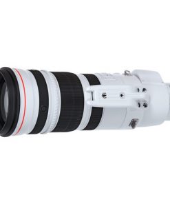 Canon EF 200-400mm F4L IS USM Extender 1.4x