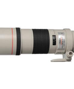 Canon EF 300mm F4L IS USM Lens