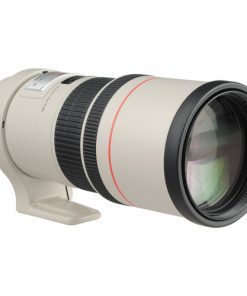 Canon EF 300mm F4L IS USM Lens
