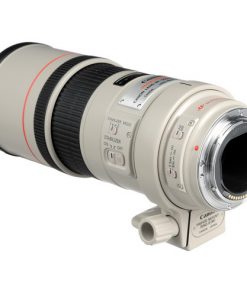 Canon EF 300mm F4L IS USM Lens