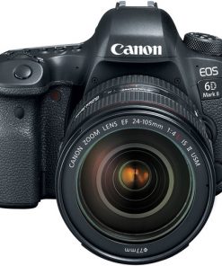Canon EOS 6D Mark II with 24-105mm f/4L II Lens