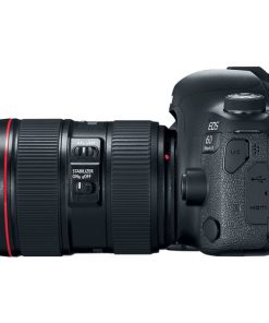Canon EOS 6D Mark II with 24-105mm f/4L II Lens