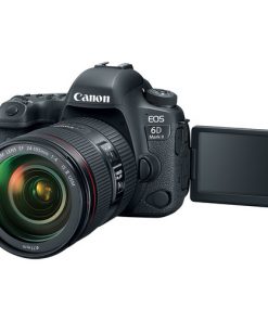 Canon EOS 6D Mark II with 24-105mm f/4L II Lens