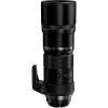 Olympus 300mm f4 IS PRO