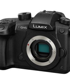 Panasonic DC-GH5