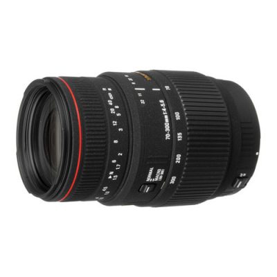Sigma 70-300mm F4-5.6 APO DG Macro