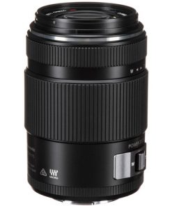 Panasonic 45-175mm f4-5.6 ASPH. POWER O.I.S. Lens
